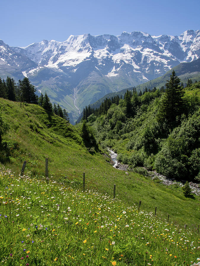 Nature Photograph - Meadows and Streams of the Swiss Alps by Kaleidoscopik Photography