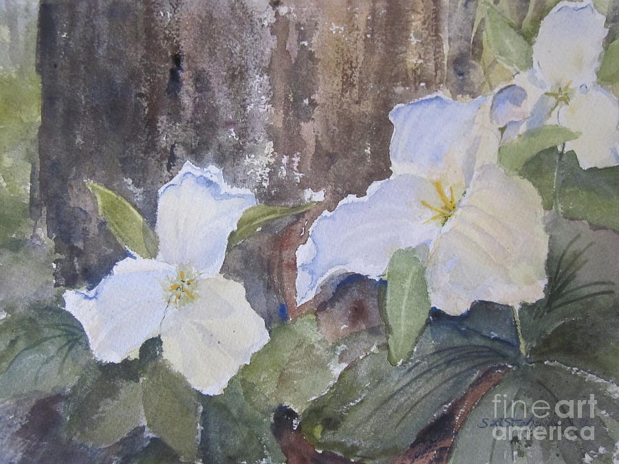 Meaghans Trillium Painting by Sandra Strohschein