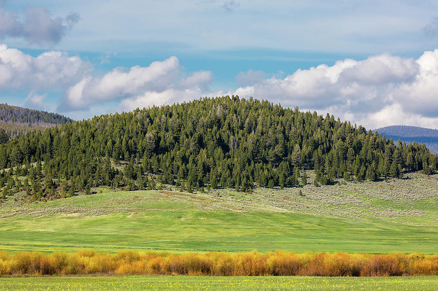 Nature Photograph - Meagher County Landscape by Todd Klassy
