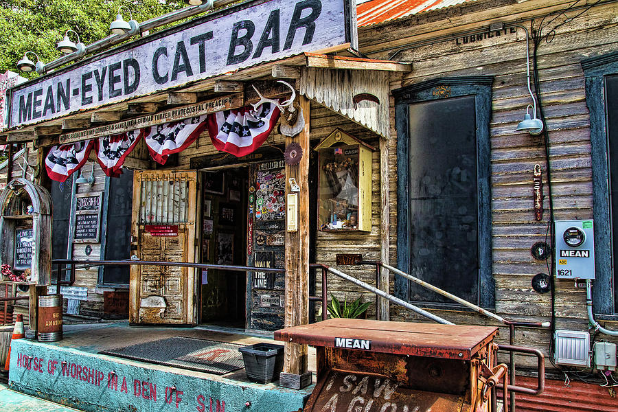 Mean Eyed Cat Bar Photograph by Steven Bateson