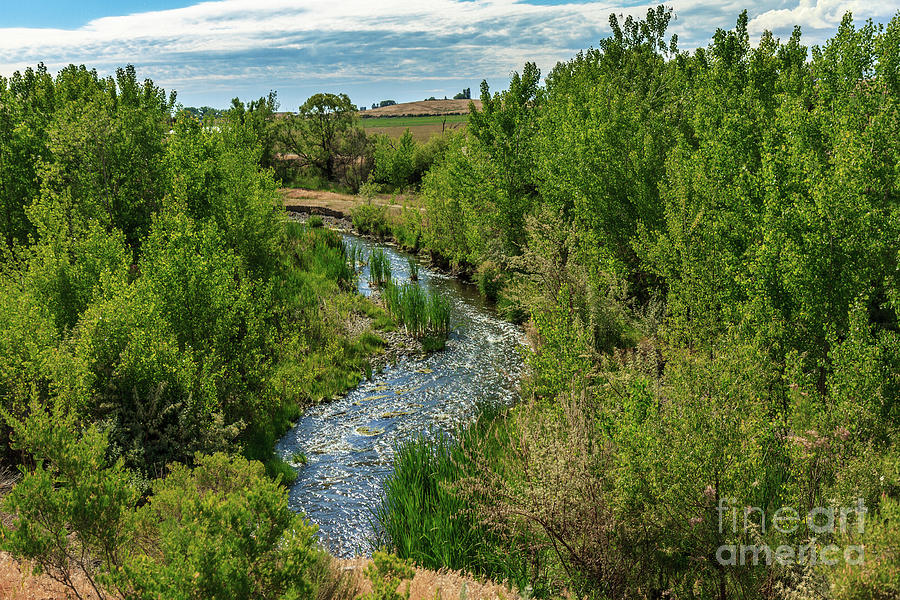 Meander Stream  Photograph by Robert Bales