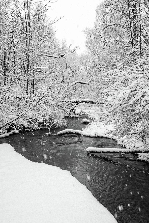 Meandering Creek Photograph by Dave Niedbala