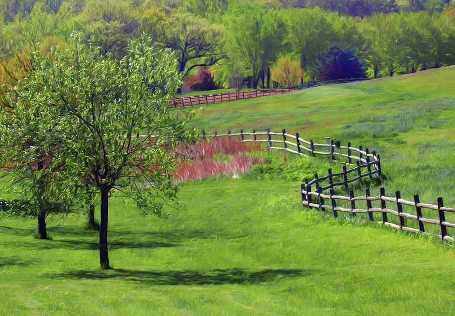 Meandering Fence Photograph by Nikolyn McDonald