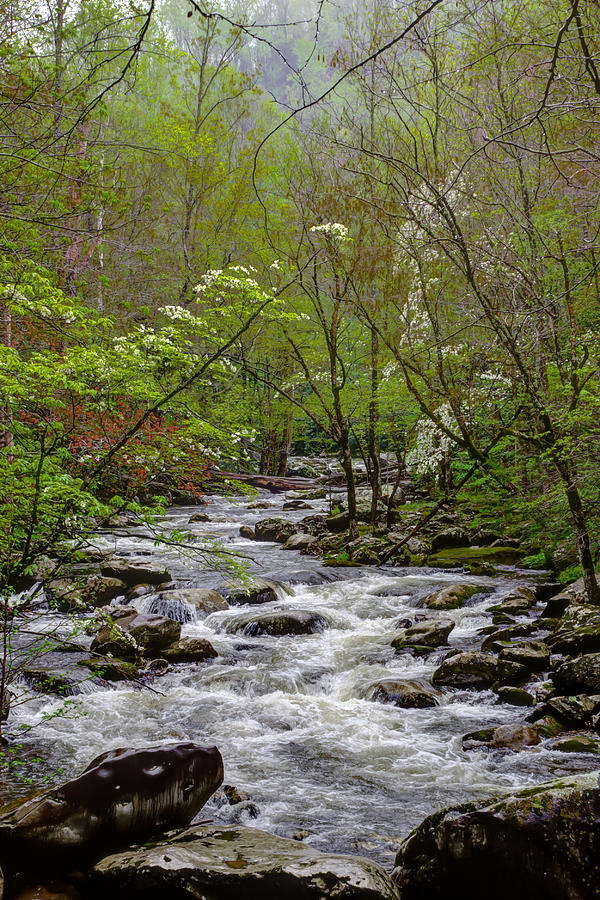 Blount County Photograph - Meandering by Kristina Plaas Blount County Photograph - Meandering by Kristina Plaas