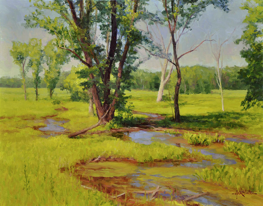 Meandering Painting By Scott Harding - Fine Art America