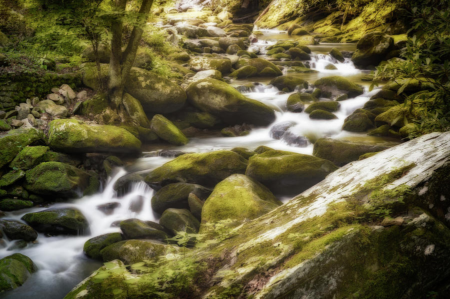 Roaring Fork Photograph - Meandering Stream by Todd Ryburn