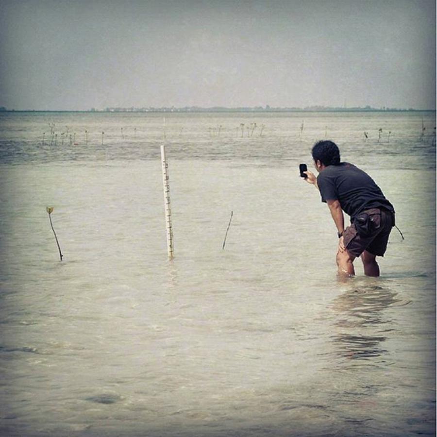 Nature Photograph - Measure The Height Of Mangroves...photo by Dani Daniar