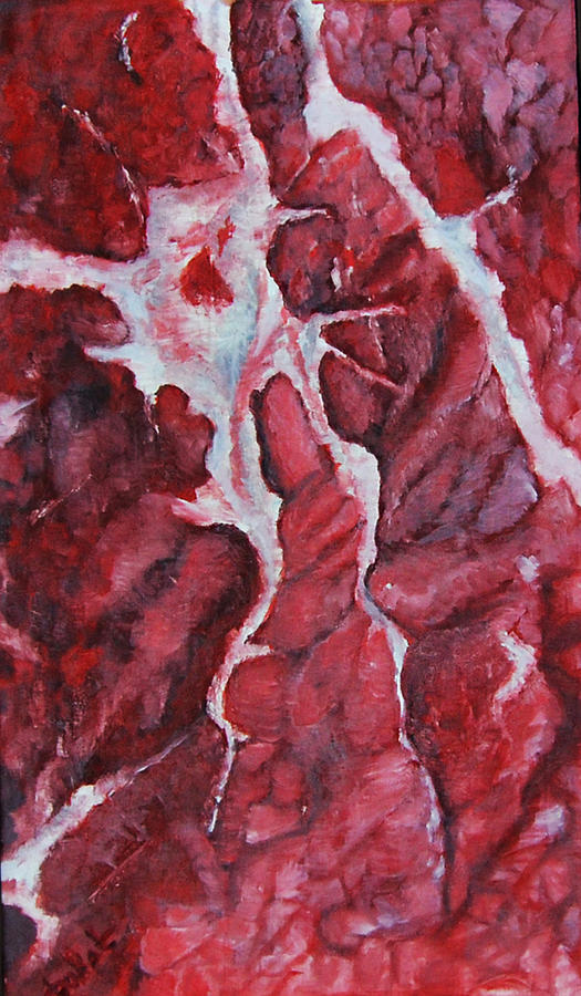 Meat Painting by Kateryna Dudukalo Pixels