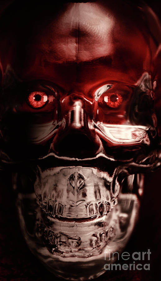 Mech War Machine. Crystalised Robot Skull Photograph