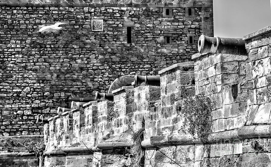 Median Walls Canons Defense Essaouira Black White  Photograph by Chuck Kuhn