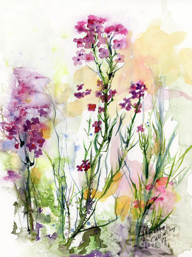 Medicinal Wild Flowers Dames Rocket Hesperus Matronalis Painting by Ginette Callaway
