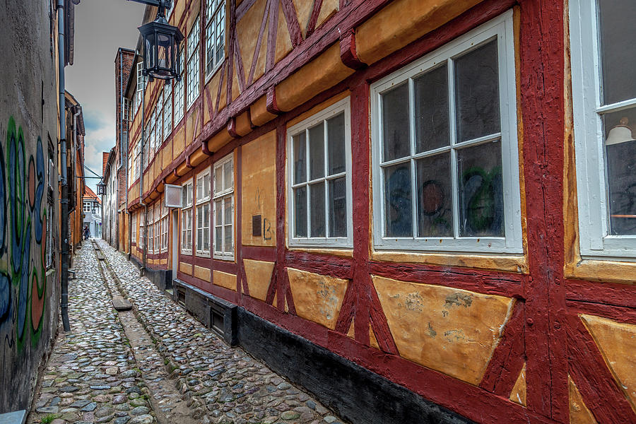 Medieval Alley in Helsingor Photograph by W Chris Fooshee