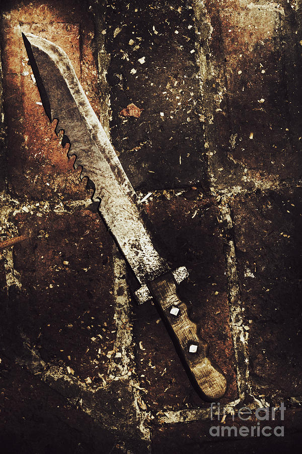 Medieval blacksmith sword Photograph by Jorgo Photography