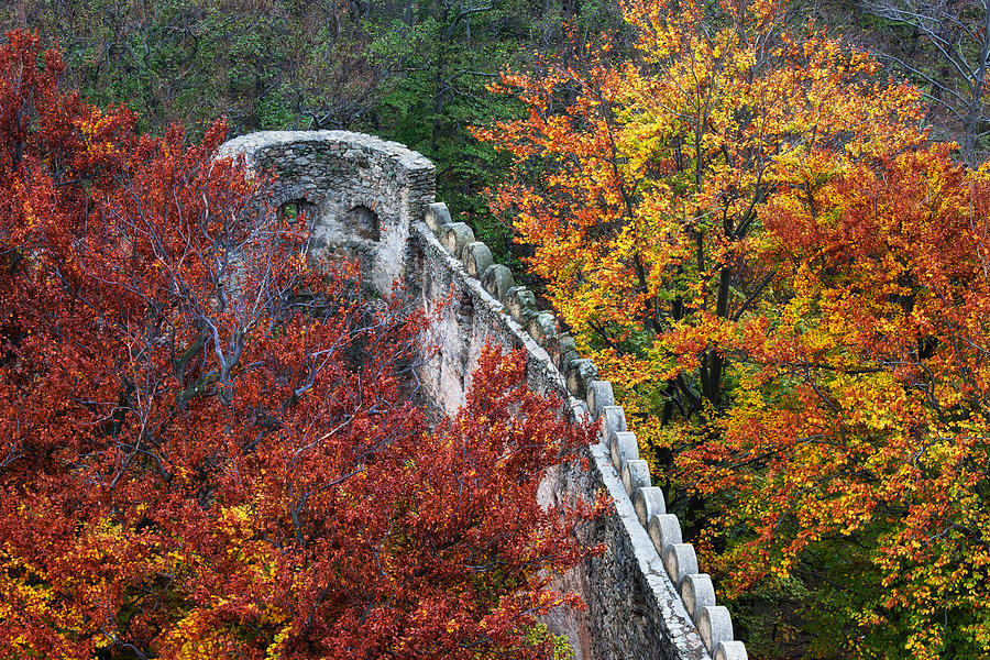Medieval Castle Wall Battlement in Autumn Forest Photograph by Artur Bogacki