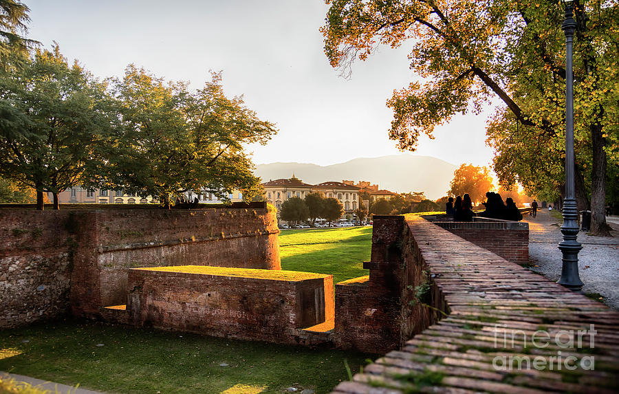 Medieval fortress wall in Lucca , Italy Photograph by Ariadna De Raadt