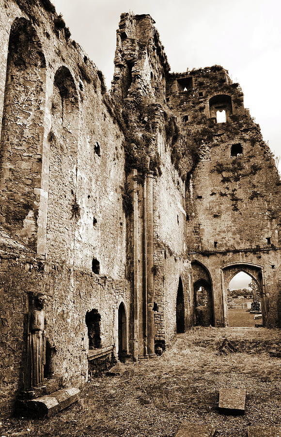 Medieval Ruins of Athassel Priory County Tipperary Ireland Sepia Photograph by Shawn OBrien