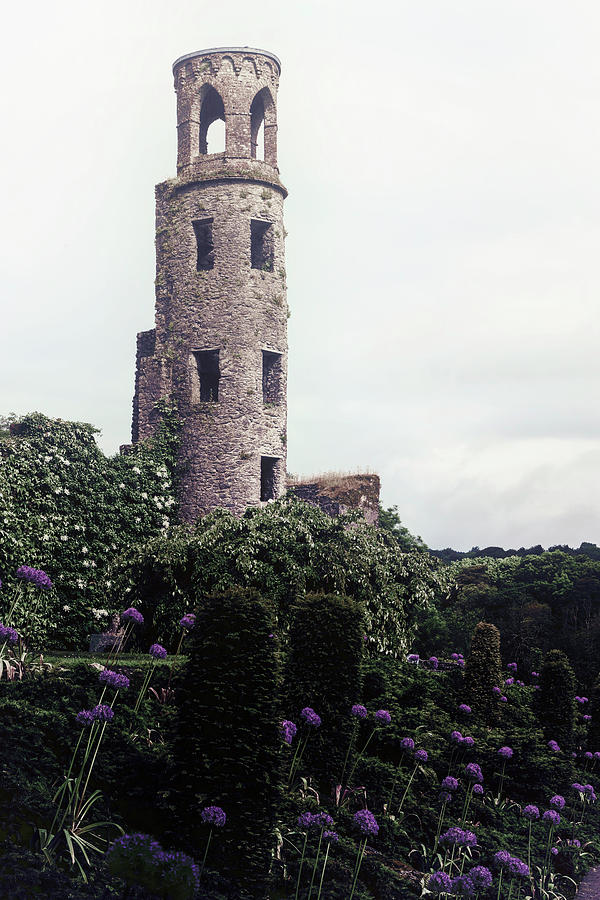 Medieval Tower Photograph by Joana Kruse