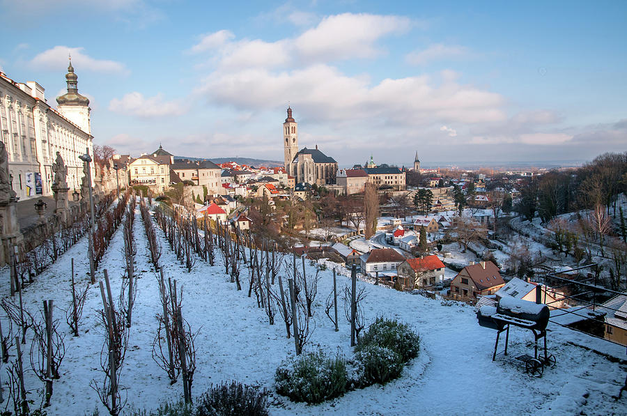 Medieval Town of Kutna Hora. Winter Vineyards Photograph by Jenny Rainbow