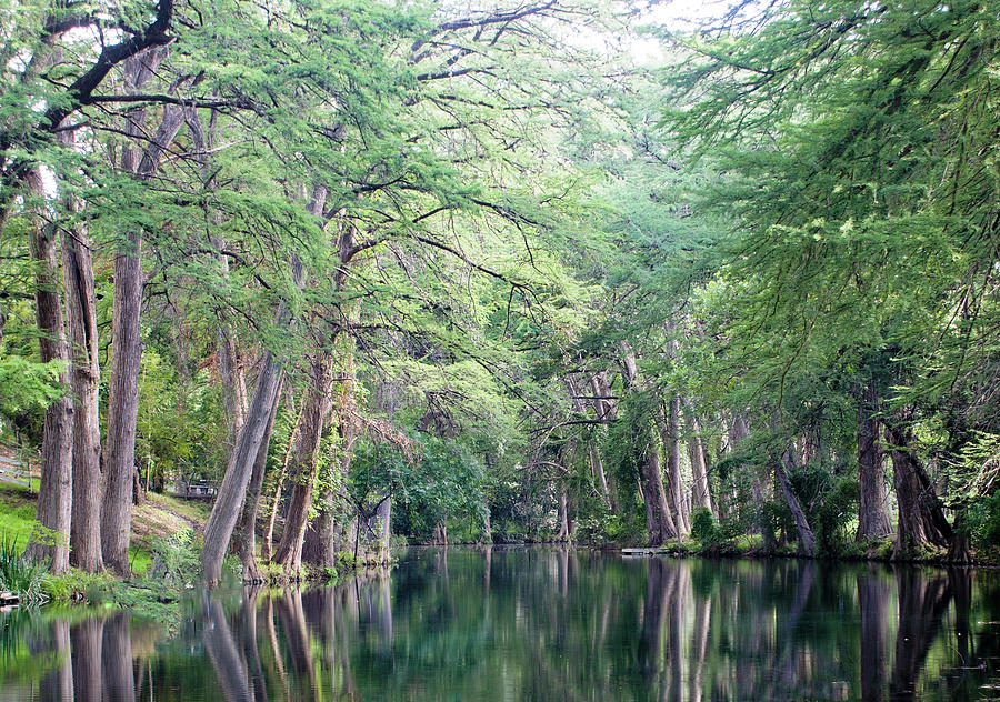 Medina Photograph - Medina Creek in Summer by Brian Kinney Medina Photograph - Medina Creek in Summer by Brian Kinney