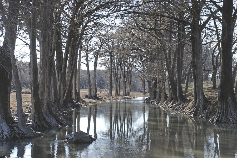 Medina River in Winter Photograph by Brian Kinney