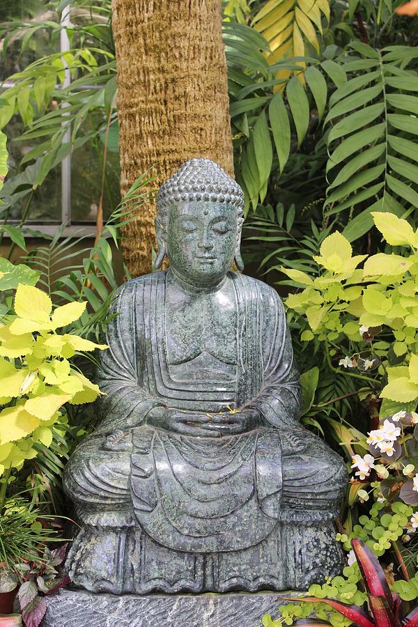 Meditating Buddah Photograph by Keith Golden - Fine Art America