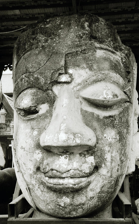 Meditating Buddha In Thailand Photograph by Shaun Higson