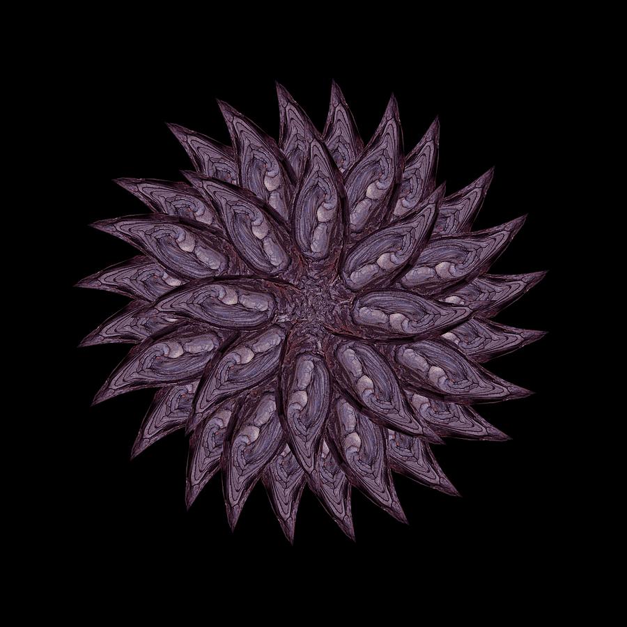 Meditating Monks in Lavender Kaleidoscope Digital Art by Julia L Wright