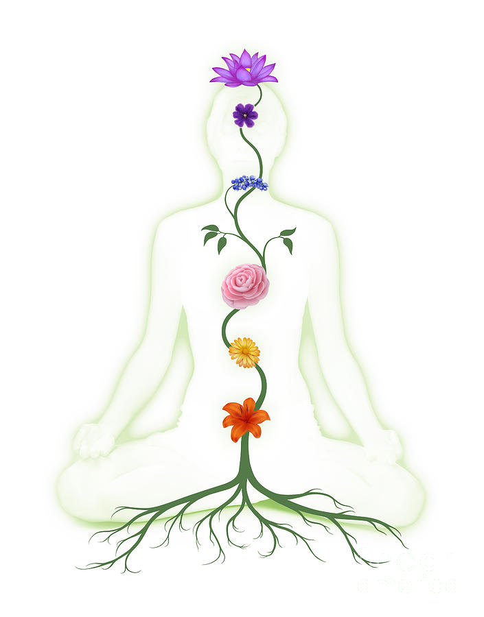 Meditating Woman with Chakras Shown as Flowers Photograph by Maxim Images Exquisite Prints