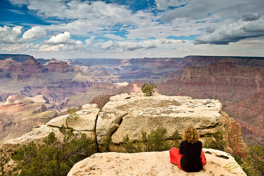 Meditation at Grand Canyon Photograph by Rikk Flohr