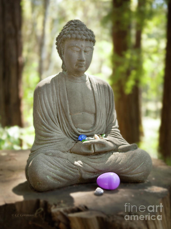 Meditation Buddha with Offerings Photograph by Carol Lynn Coronios