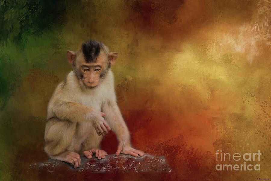 Monkey Photograph - Meditative by Eva Lechner