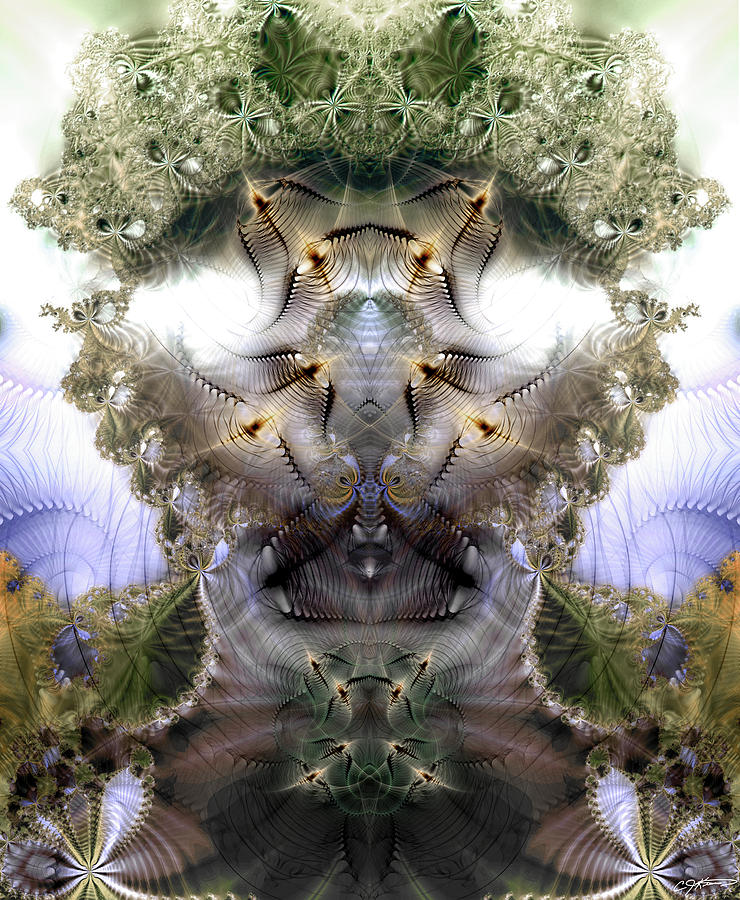 Meditative Symmetry 5 Digital Art by Casey Kotas