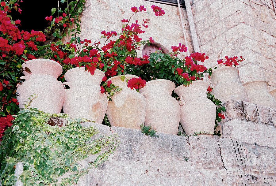 Mediterreanean Flower Pots Photograph by Constance Woods