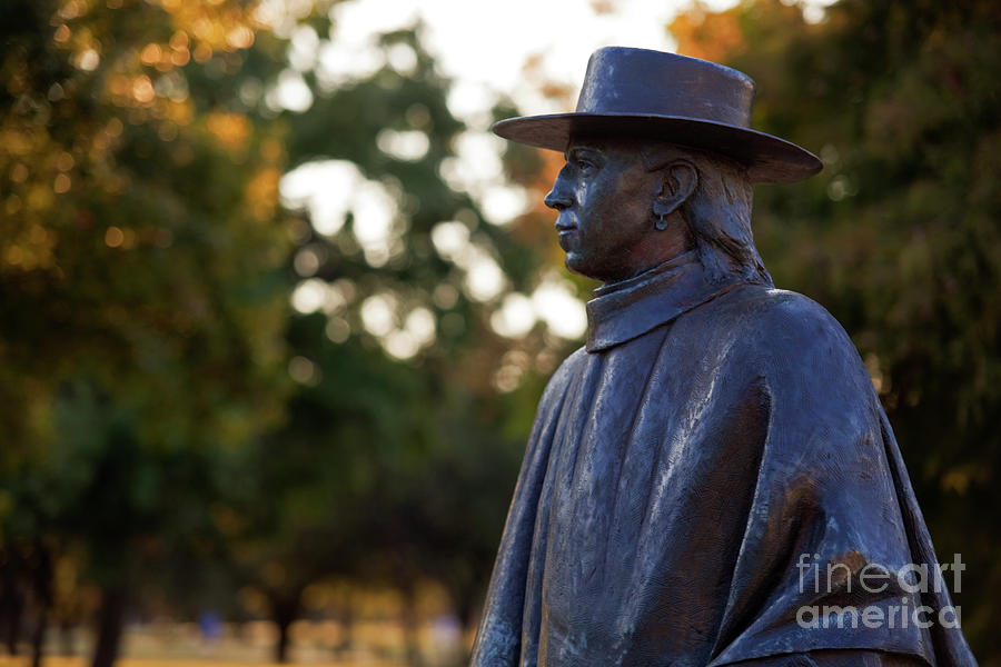 Tree Photograph - Medium close up of the of Guitar Legend and Stevie Ray Vaughan Statue in Austin, Texas, USA by Dan Herron