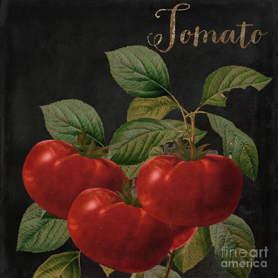Tomato Painting - Medley Tomato by Mindy Sommers