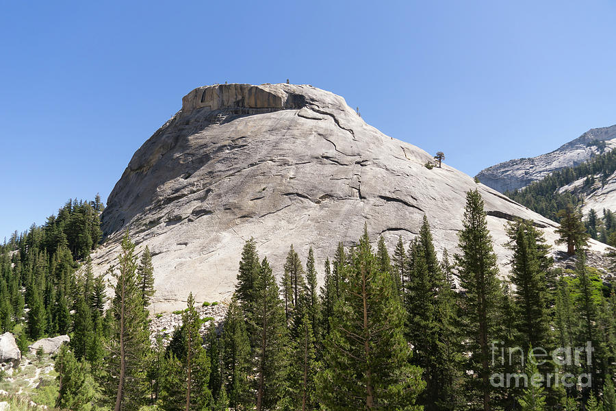 Medlicott Dome Tioga Pass Yosemite California dsc04283 Photograph by Wingsdomain Art and Photography