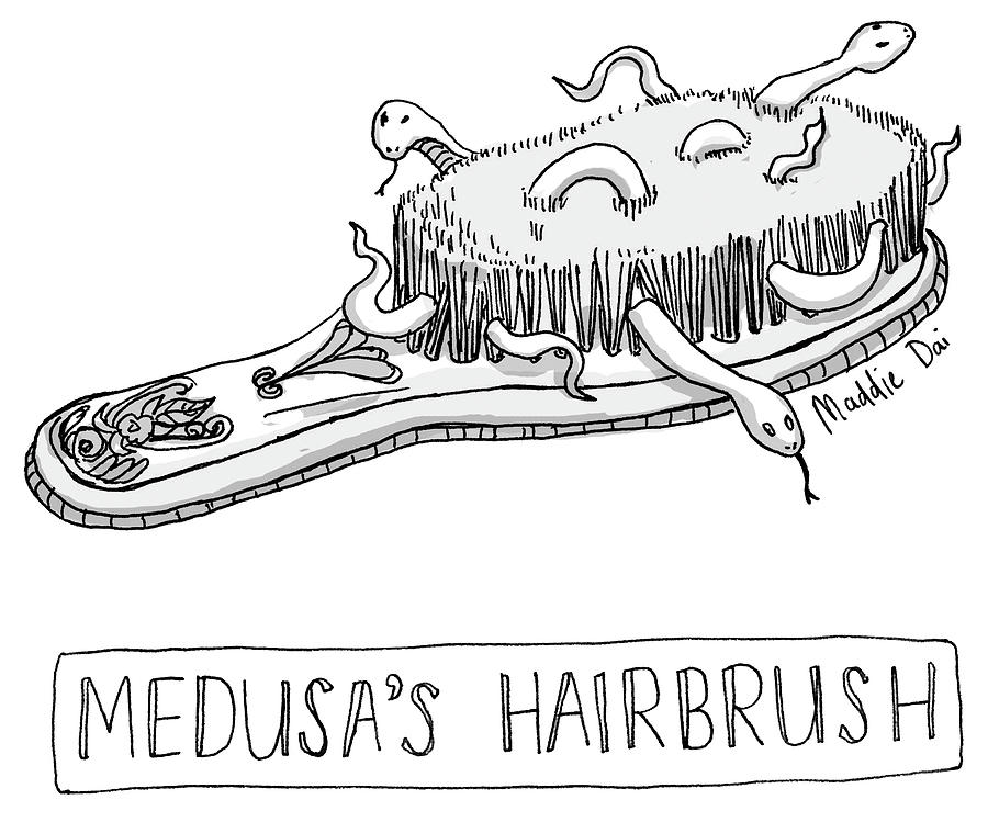 Medusas Hairbrush Drawing by Maddie Dai