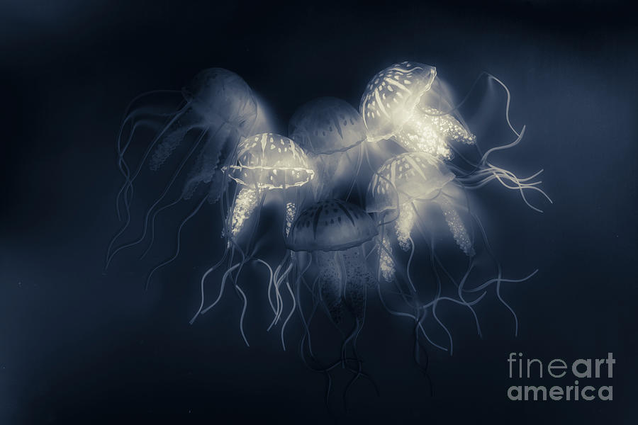 Medusas light Digital Art by Jorgo Photography