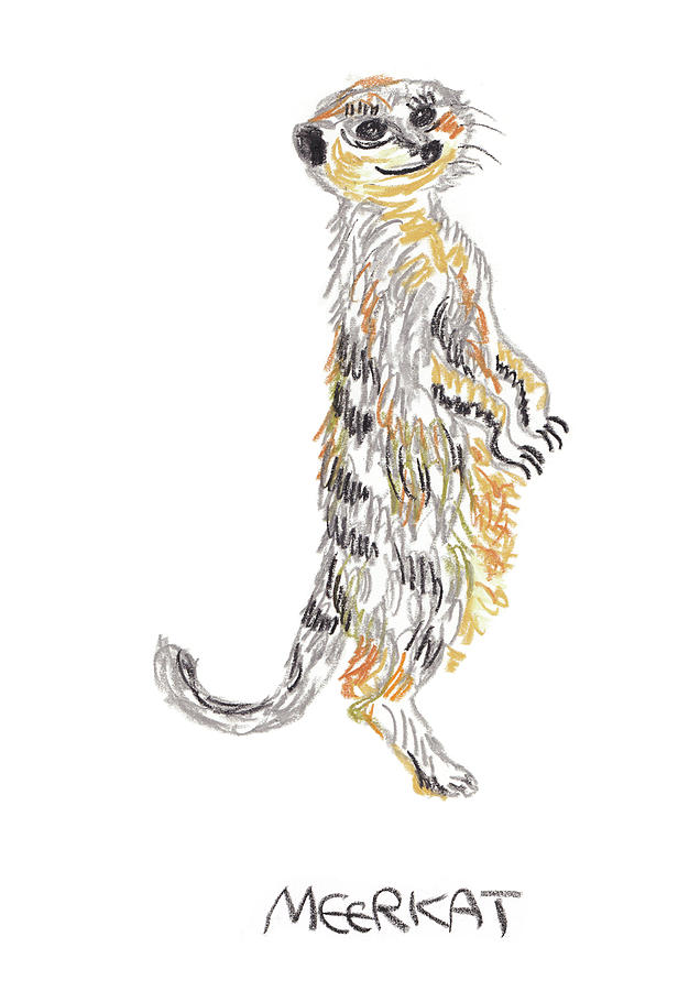 Meerkat Drawing - Meerkat by Pookie Pet Portraits