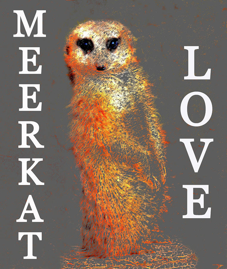 Meerkat Love Painting by David Lee Thompson