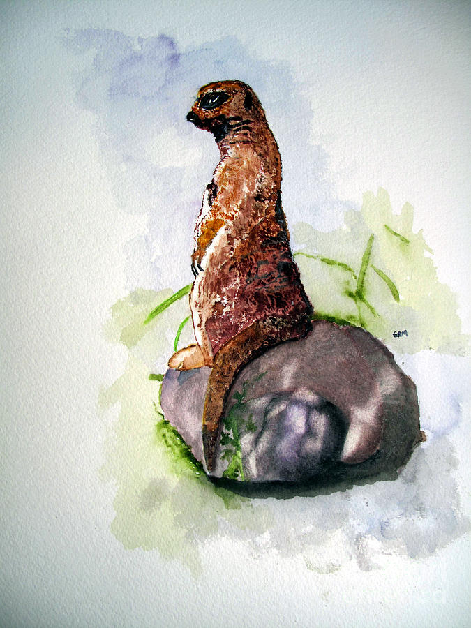 Meerkat Painting by Sandy McIntire