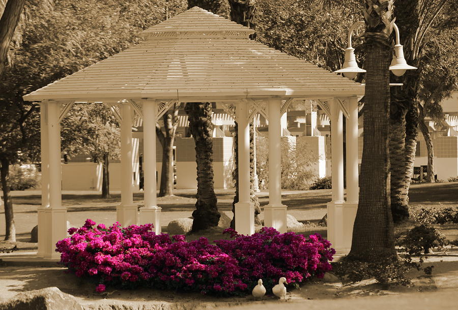 Meet Me At The Gazebo Photograph by Colleen Cornelius