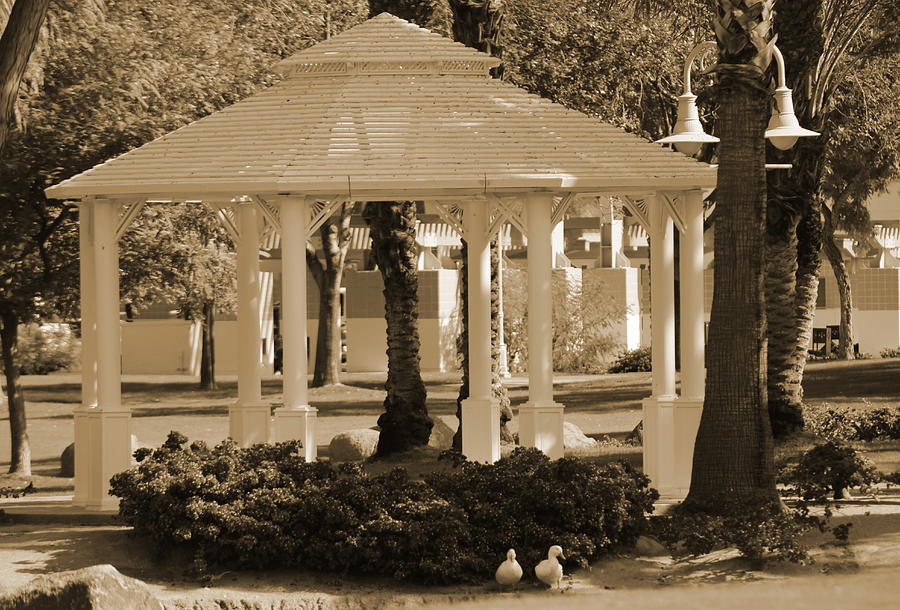 Duck Photograph - Meet Me At The Gazebo in Sepia by Colleen Cornelius