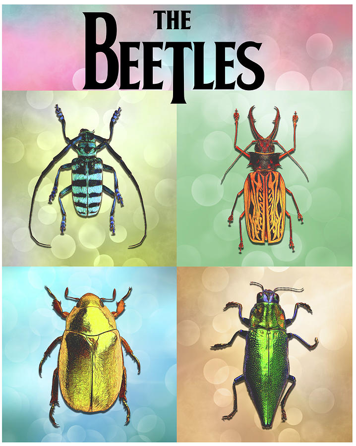 Meet the Beetles Digital Art by John Haldane