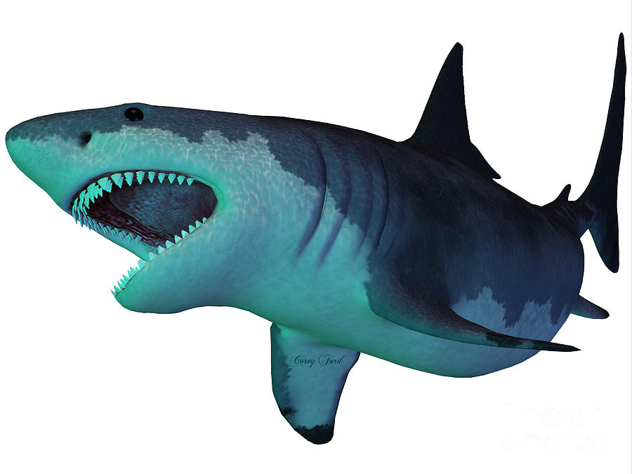 Prehistoric Painting - Megalodon Shark Underwater by Corey Ford