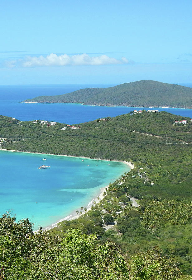 Megans Bay Photograph by Marcia McWhorter - Fine Art America