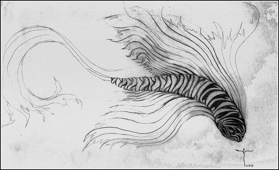 Megic Fish 3 Drawing by James Lanigan Thompson MFA