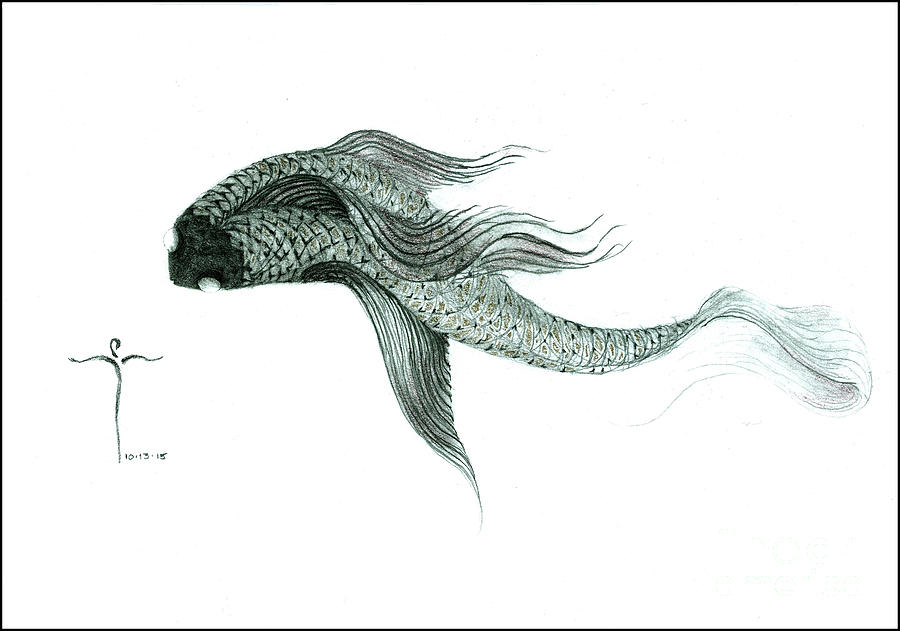 Megic Fish 1 Drawing by James Lanigan Thompson MFA