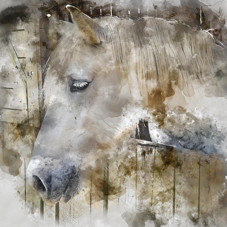 Melancholy - Horse Colorful Portrait 2 - by Diana Van Painting by Diana ...