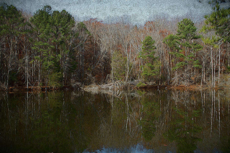 Melancholy Pond Reflection Landscape Photograph by Kathy Clark